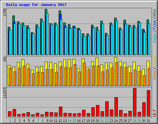 Daily usage for January 2017