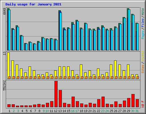 Daily usage for January 2021
