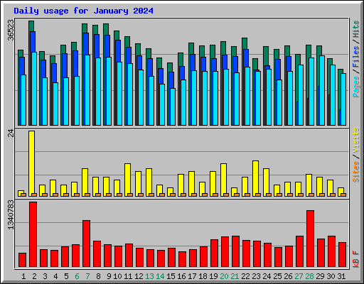 Daily usage for January 2024