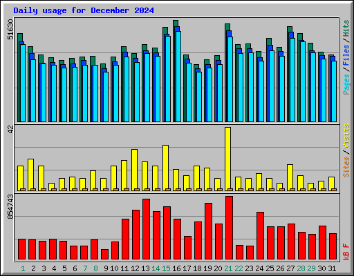 Daily usage for December 2024