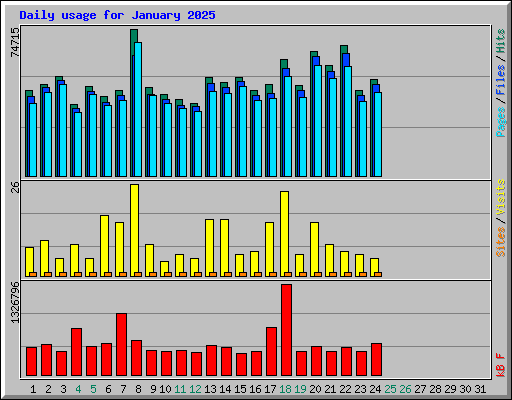 Daily usage for January 2025