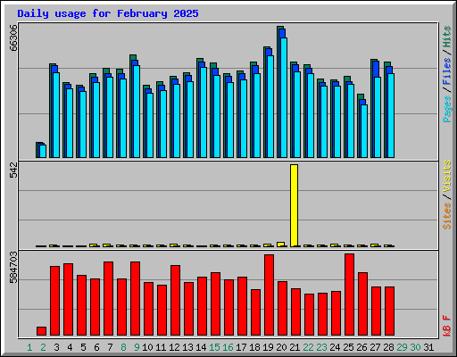 Daily usage for February 2025