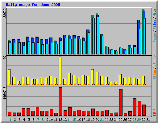 Daily usage for June 2025