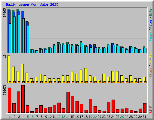 Daily usage for July 2025
