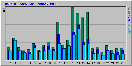 Hourly usage for January 2009