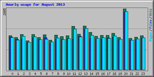 Hourly usage for August 2013