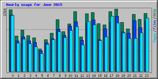 Hourly usage for June 2015