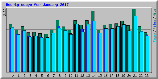 Hourly usage for January 2017