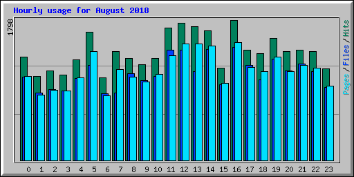 Hourly usage for August 2018