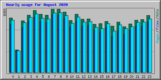 Hourly usage for August 2020