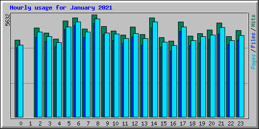 Hourly usage for January 2021