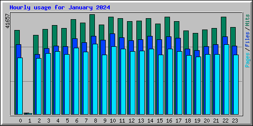 Hourly usage for January 2024