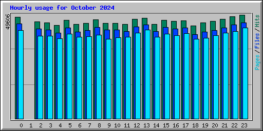 Hourly usage for October 2024