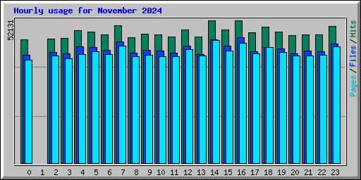 Hourly usage for November 2024