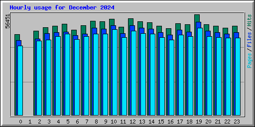 Hourly usage for December 2024