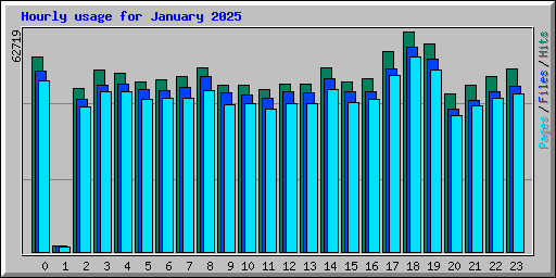 Hourly usage for January 2025