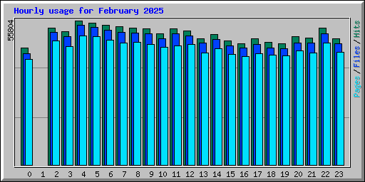 Hourly usage for February 2025