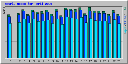 Hourly usage for April 2025