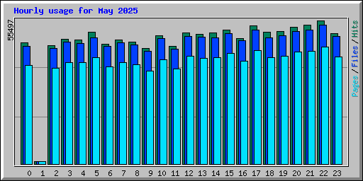 Hourly usage for May 2025