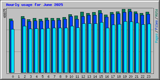 Hourly usage for June 2025