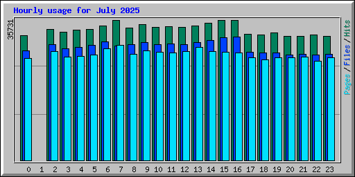 Hourly usage for July 2025