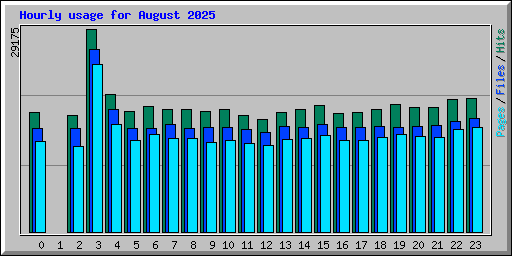 Hourly usage for August 2025