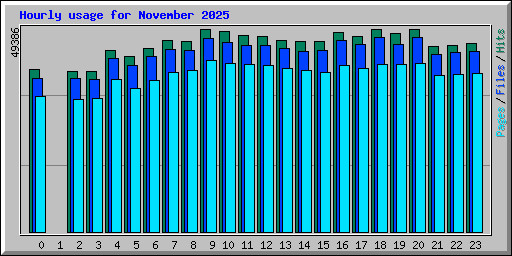Hourly usage for November 2025