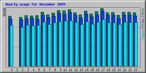 Hourly usage for December 2025