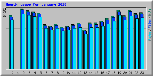 Hourly usage for January 2026