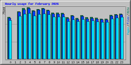 Hourly usage for February 2026