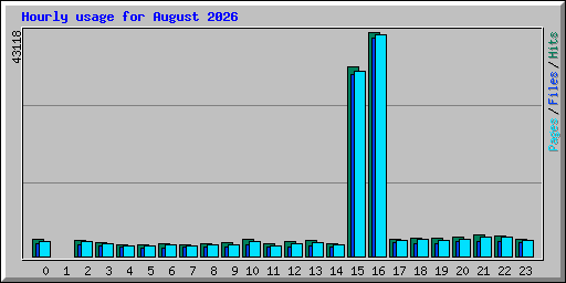 Hourly usage for August 2026