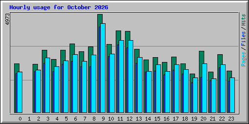 Hourly usage for October 2026